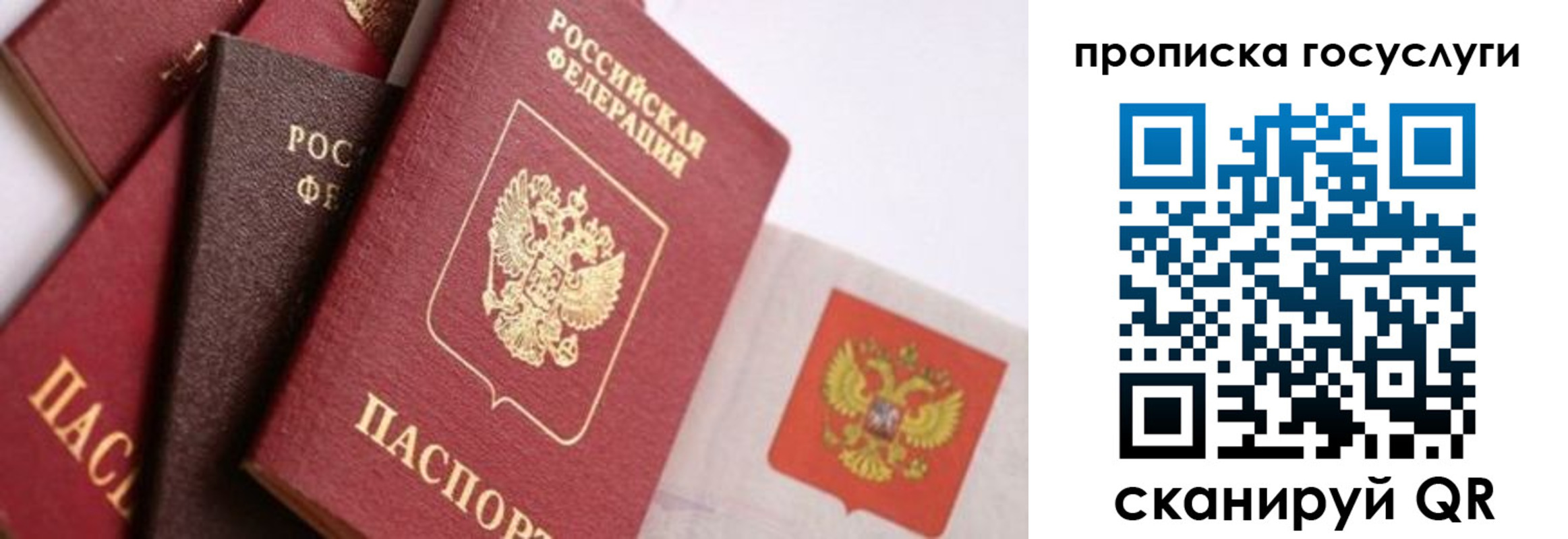 прописка законно в Венёве